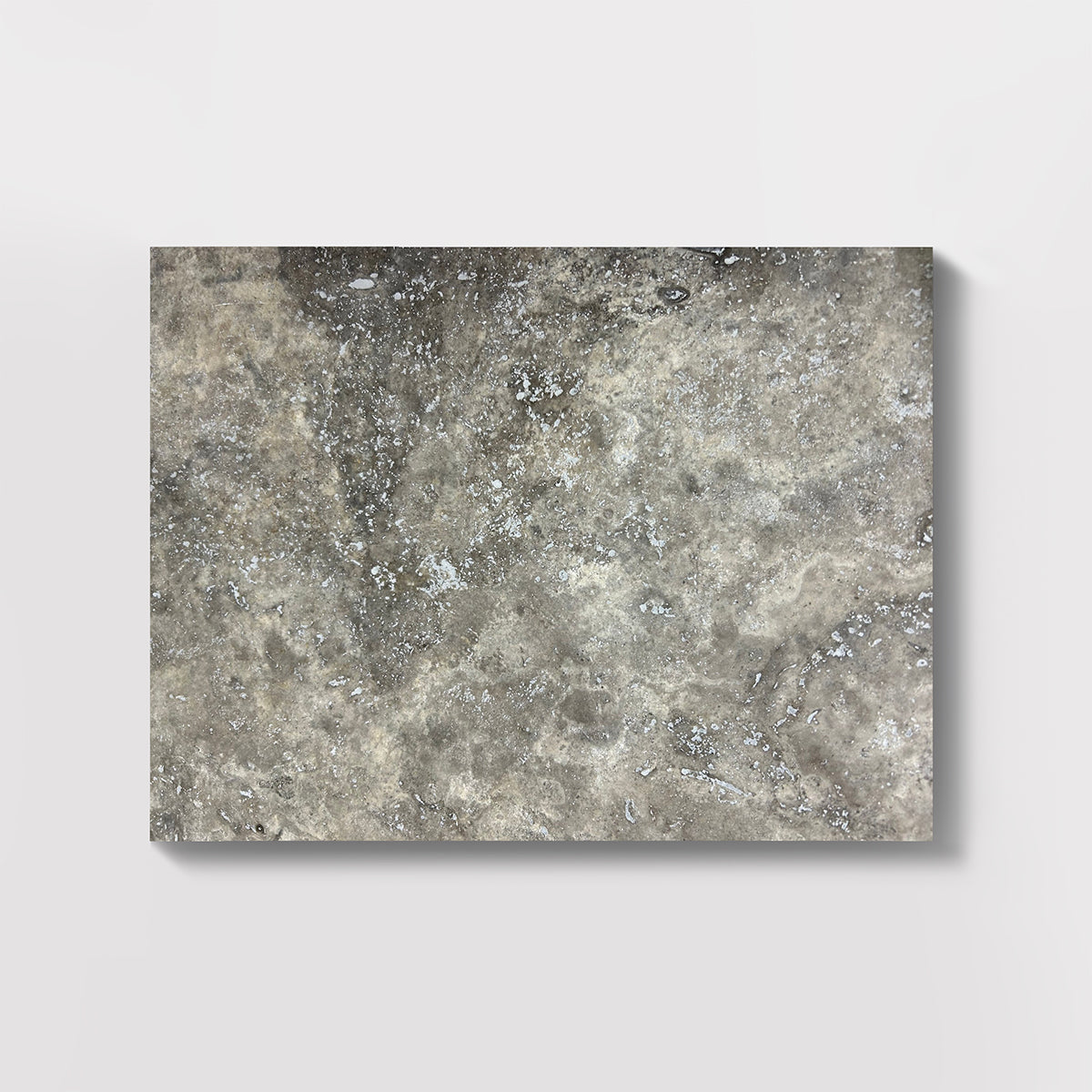 Silver Travertine Honed