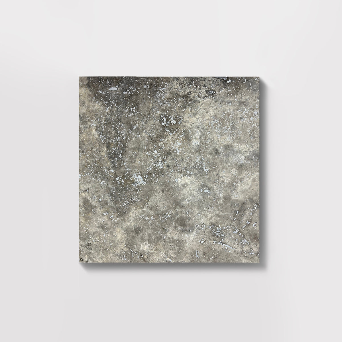 Silver Travertine Honed