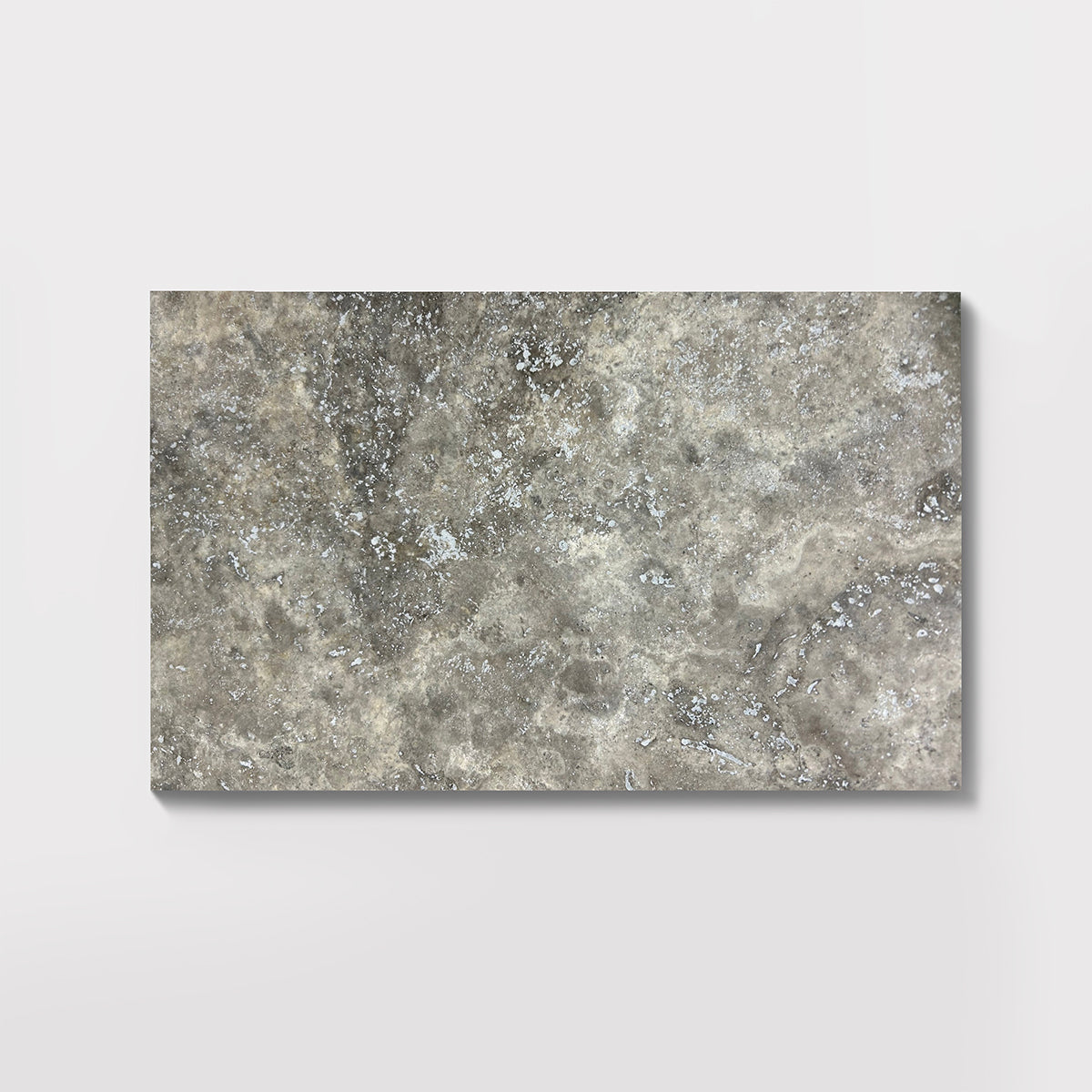 Silver Travertine Honed