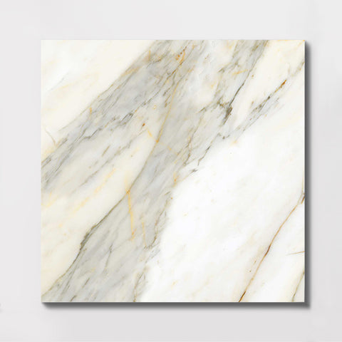 600x600mm / Macchia Vecchia